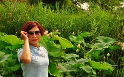 sis会所最新地址